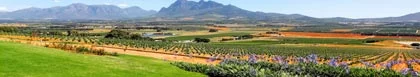 Jonkershoek Accommodation, Cape Winelands & Breede Valley